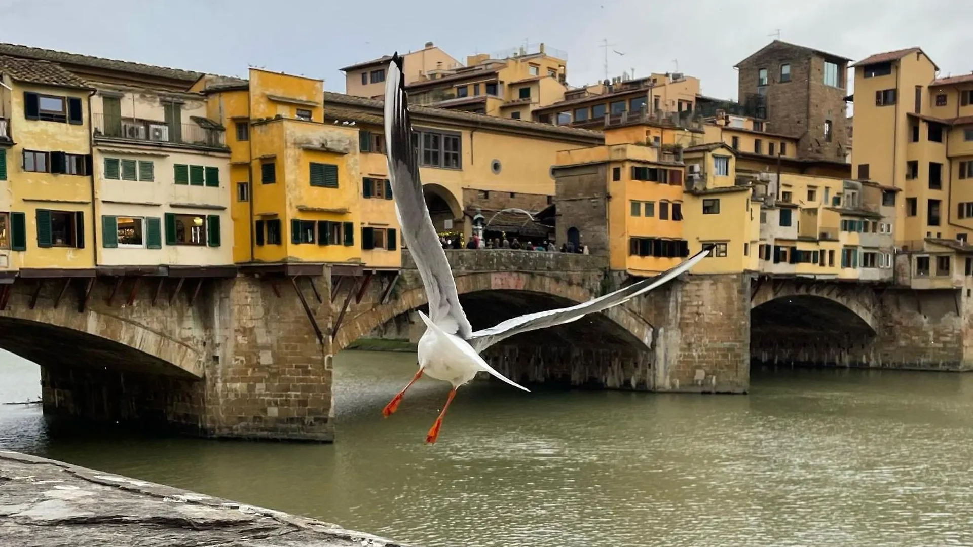 Vintage Apartments In The Heart Of Florence